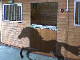 Horse-and-stable-door